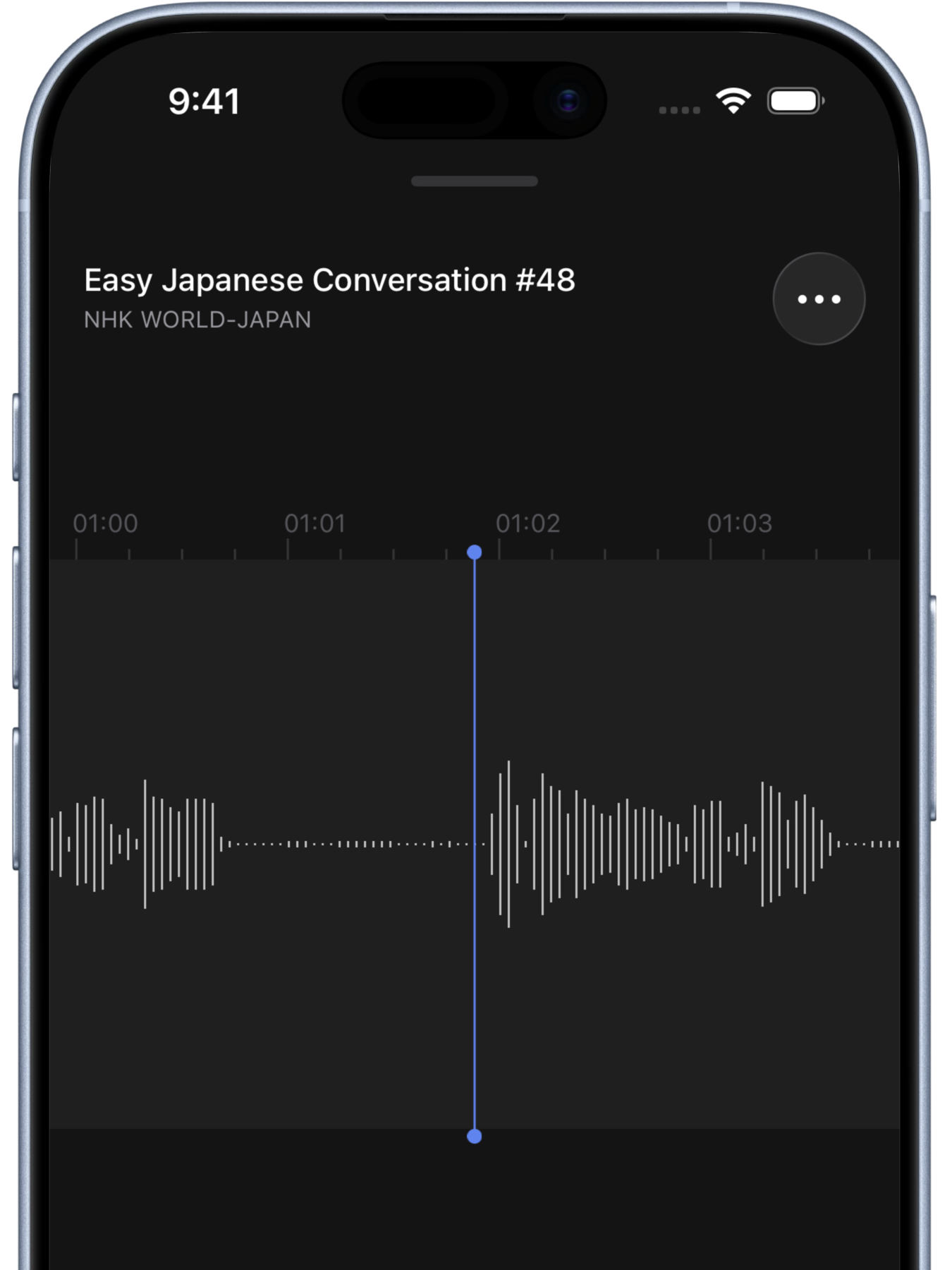 Waveform navigation screenshot